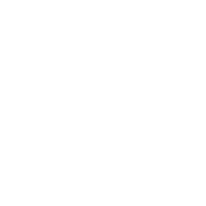Decision Support